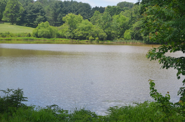 Cutright Lake view 2