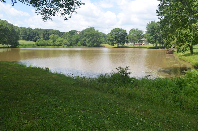 Cutright Lake view 3