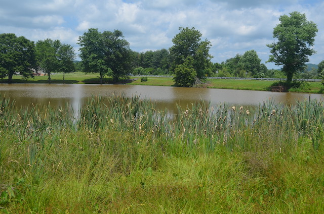 Cutright Lake view 4