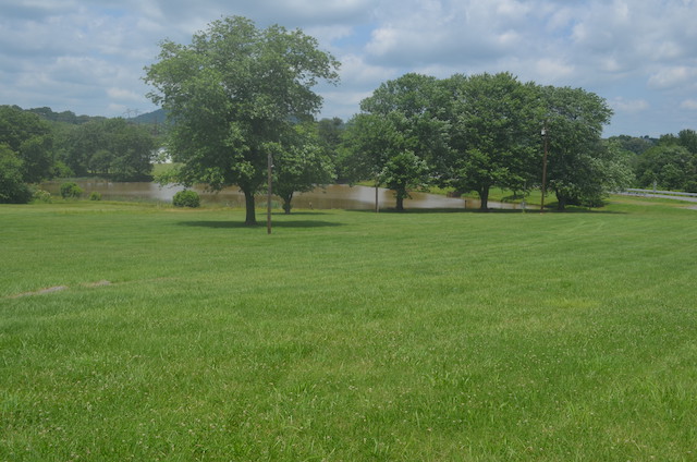 Cutright Lake view 5